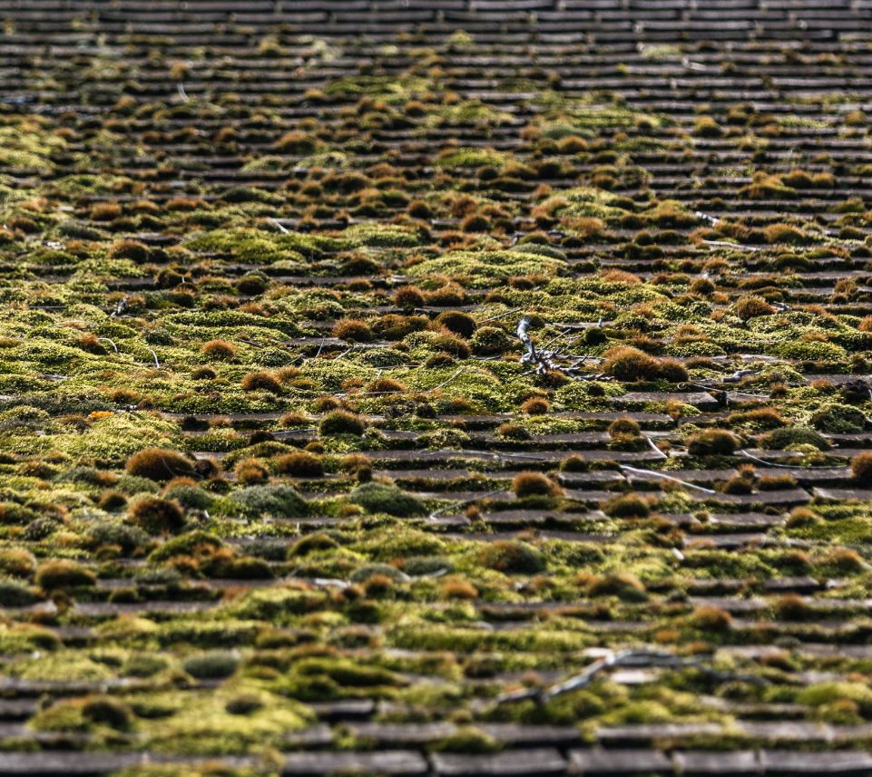 Démoussage et nettoyage de toiture à Plabennec (29860) dans le Finistère (29)