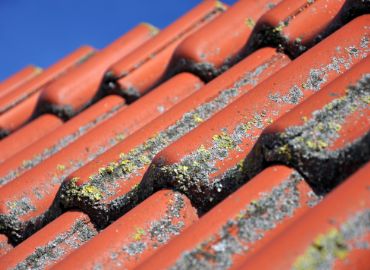 Démoussage et nettoyage de toiture à Plabennec (29860) dans le Finistère (29)